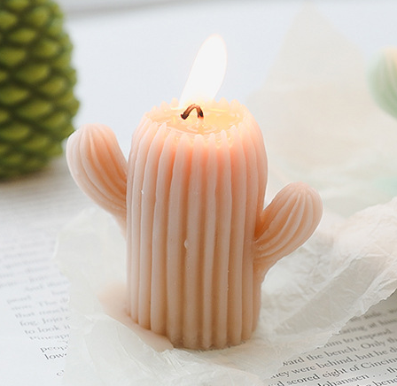 Refined Cactus Plant Shape Color Essential Oil