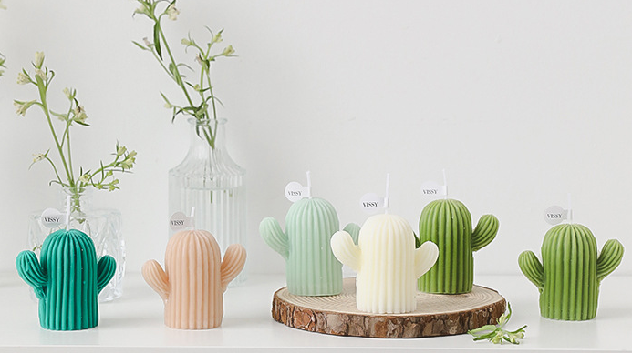 Refined Cactus Plant Shape Color Essential Oil
