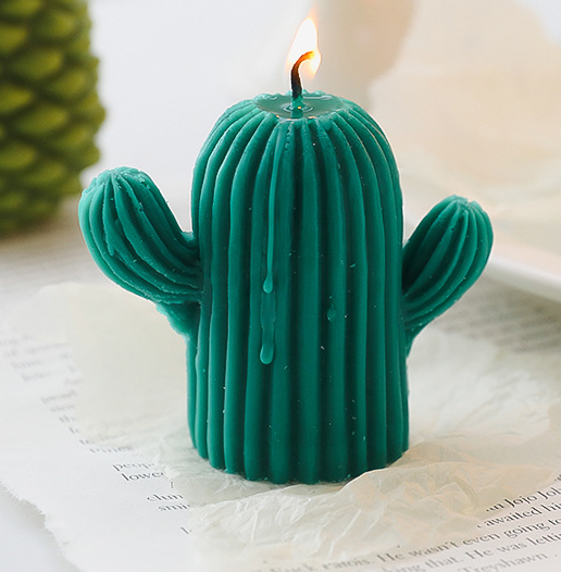 Refined Cactus Plant Shape Color Essential Oil